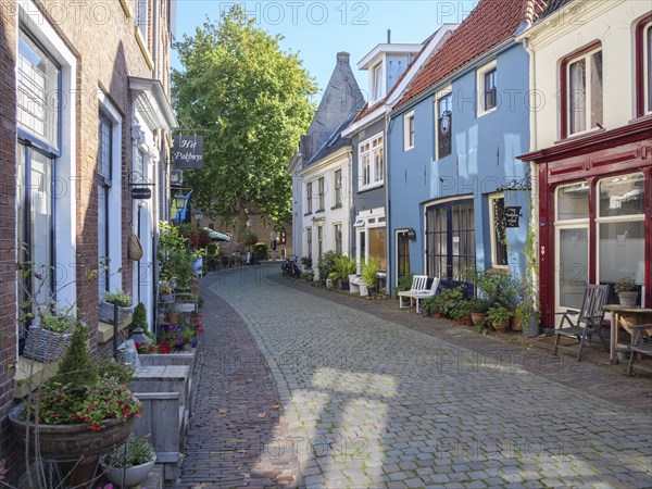 Narrow cobbled alley with historic buildings, facades and plants that are illuminated in sunny