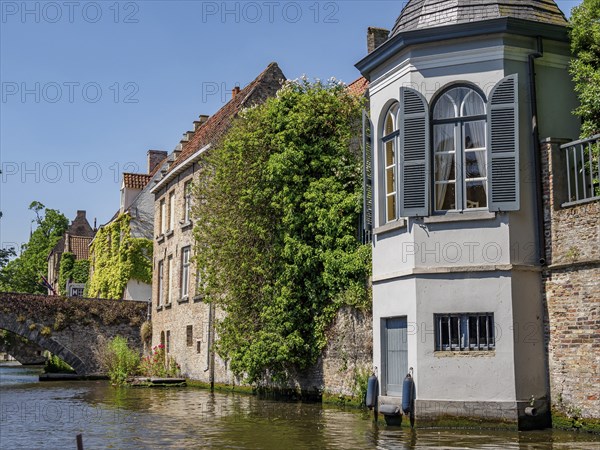 Historic houses with overgrown facades along a canal, Bruges, Belgium, Europe