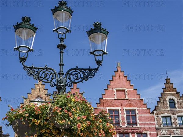 Lamp post with hanging flowers in the foreground, behind it historic brick houses with curved