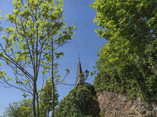 A tree with fresh green leaves and a lantern next to a city wall on a sunny day, Saarburg, Germany,