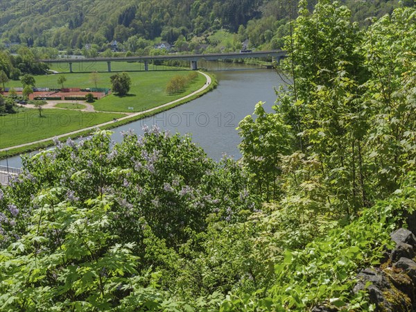 Green landscape with a river and a bridge, surrounded by many trees and forests, Saarburg, Germany,