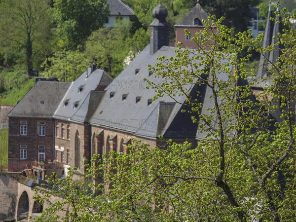 Beautiful old buildings, partly hidden by green trees that create a historic atmosphere, Saarburg,