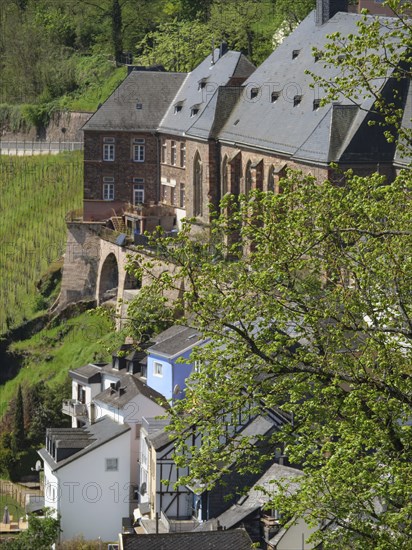 Old stone house and modern houses on a steep slope with a vineyard in the background, Saarburg,