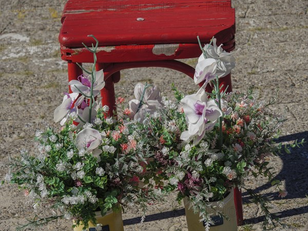 A flower arrangement with orchids in front of a rustic red bench on sandy ground, langeoog, germany