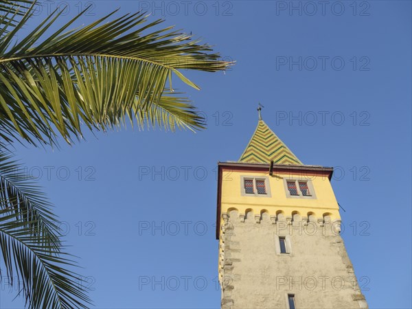 Building tower with patterned roof next to palm leaves under a clear sky, Lindau, Lake Constance,