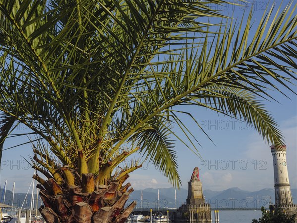 Palm trees framing a harbour with statue and lighthouse in sunny weather, Lindau, Lake Constance,