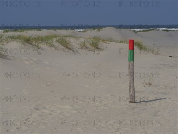 Sand dunes with waist-high dune grass and marked post near the beach under a blue sky, juist, east