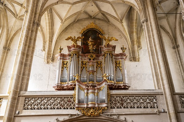 Church ('Piaristenkirche Unsere liebe Frau') in the historic old town of Krems an der Donau,