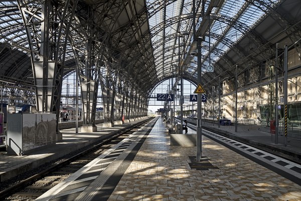 Platform hall, platform 22 and 23, main railway station, Frankfurt am Main, Hesse, Germany, Europe
