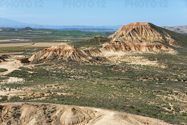 Vast desert landscape with striking rock formations and sparse vegetation under a clear sky,