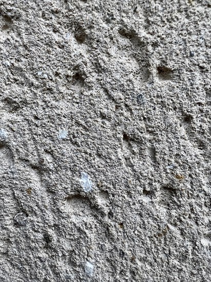 Vertical view of White cement texture sandstone concrete, rock plastered stucco wall, painted flat