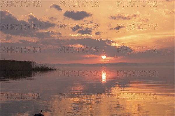 Water landscape, taken from the shore of a calm lake. View over the reflecting water to the horizon