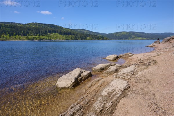 Schluchsee surrounded by trees and rocky shores under a clear blue sky, spring, Schluchsee, Black