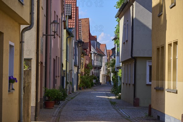 Idyllic narrow alley with cobblestones and traditional houses decorated with flowers under a bright
