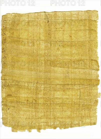 Background of real Paper reed on white
