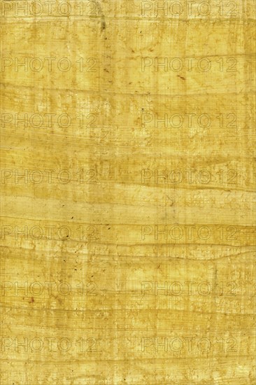 Background of real Paper reed