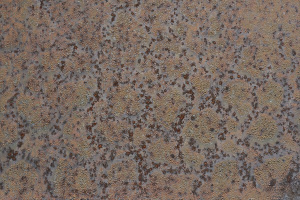 Grunge background of blistered paint on rusty metal