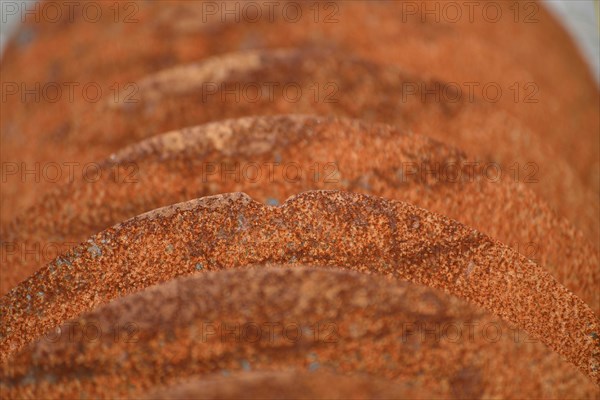Grunge background of rusted plough shares on an old cultivator