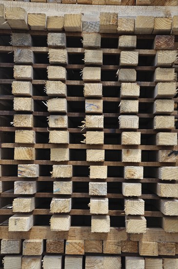 Piles of timber cut from Pinus radiata are laid out to dry at the sawmill