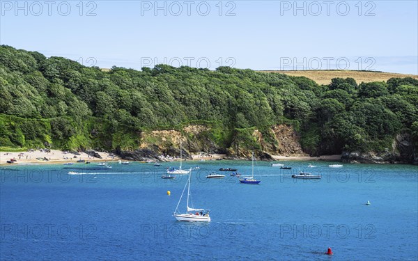 Boats and Yachts on Kingsbridge Estuary in Salcombe and Mill Bay, Batson Creek, Southpool Creek,
