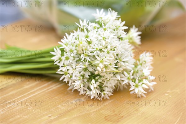 White flower bouquet of wild garlic or ramsons (Allium ursinum) on a wooden cutting board, used in