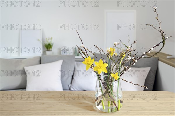 Spring bouquet with daffodils and flowering branches in a glass vase on a table in front of a sofa
