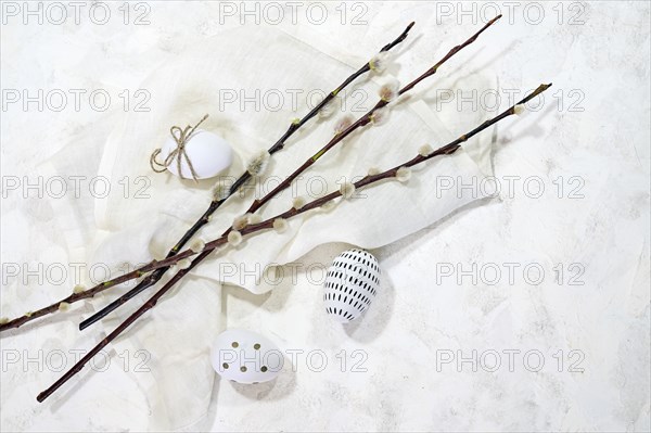 White Easter eggs with small black decor and some willow branches with catkins on a light cloth and