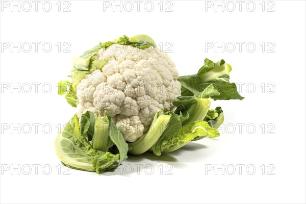 Cauliflower, raw whole vegetable isolated on a white background, ingredient for healthy vegetarian