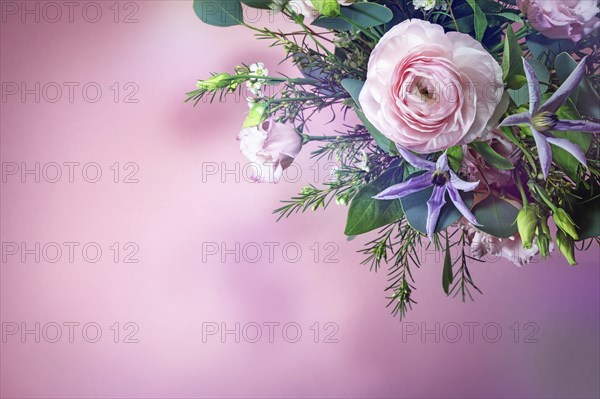 Bouquet with rose and blue flowers in the corner of a pink background, greeting card for holidays