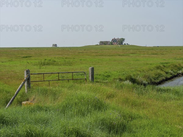 An old, wooden Tor tor stands in the middle of a wide, green meadow, reflecting the Sommerland,