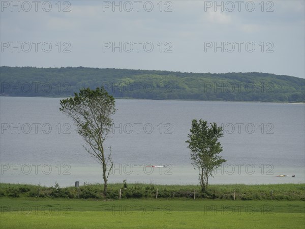 View of a calm lake with trees in the foreground under a slightly cloudy sky, Glücksburg,