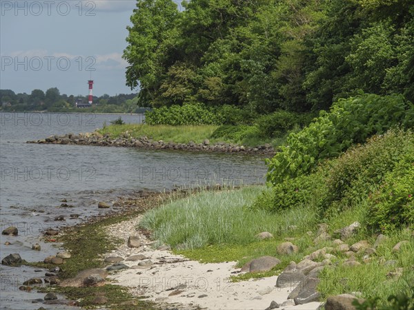 Coastal strip with stones and grasses, trees on the shore, calm atmosphere under a blue sky,