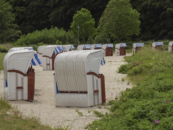 Numerous beach chairs in a natural setting with trees and bushes, relaxation on the sandy beach,