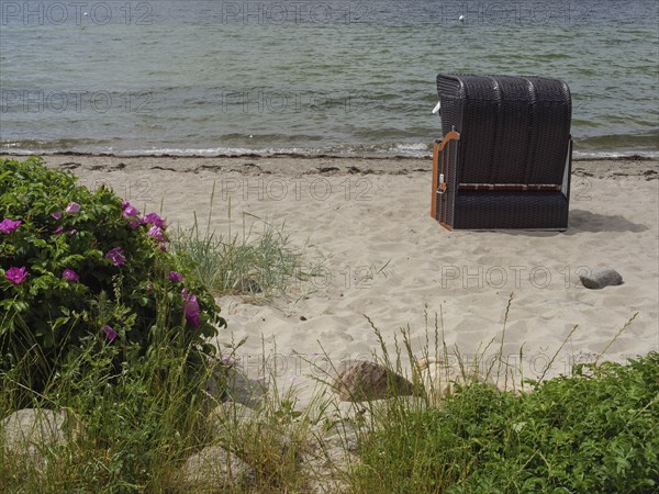 A sandy beach with a beach chair and flowering plants near the sea, Glücksburg, Schleswig-Holstein,
