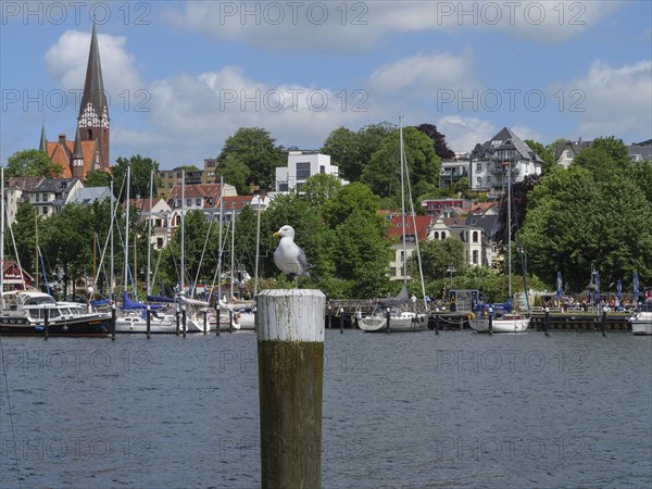A seagull sits on a wooden pole in front of a harbour with sailing boats, surrounded by traditional