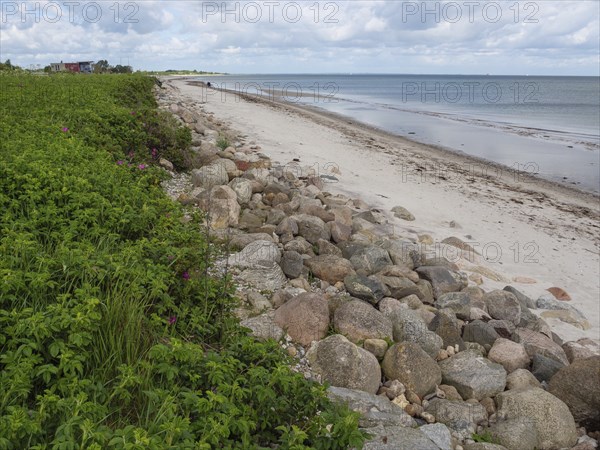 Stony coast with beach and sea, cloudy sky and green shore, Maasholm, Schleswig-Holstein, Germany,