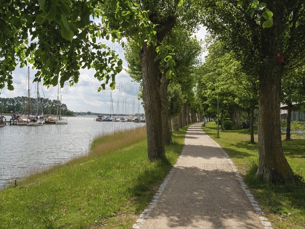Long path under an avenue of trees along a quiet lakeshore with moored boats in summer weather,