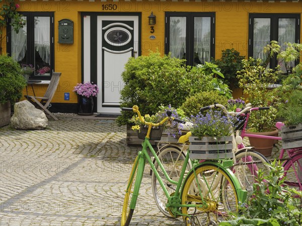 A colourful courtyard with planted bicycles, flowers and a yellow building with white window frames