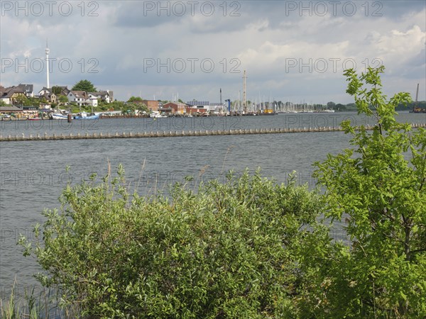 Riverbank with trees and view of the harbour with boats and buildings in the background, Kappeln,