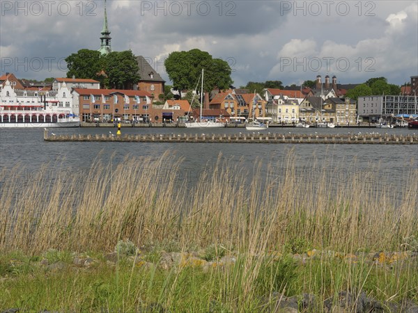 View over tall grass to a town with boats on the water and a church under a cloudy sky, Kappeln,