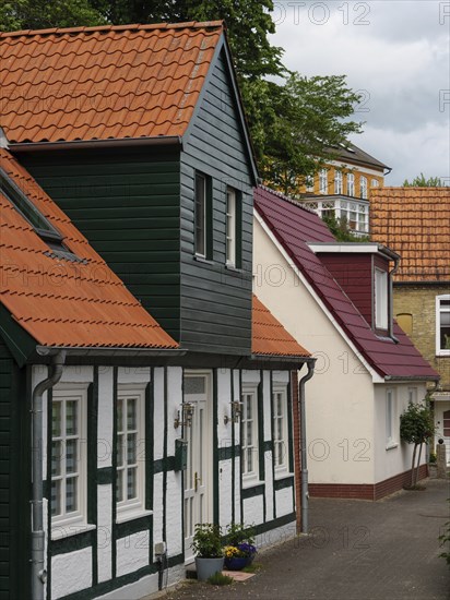 Houses with colourful roofs along a street, surrounded by windows and trees under a cloudy sky,