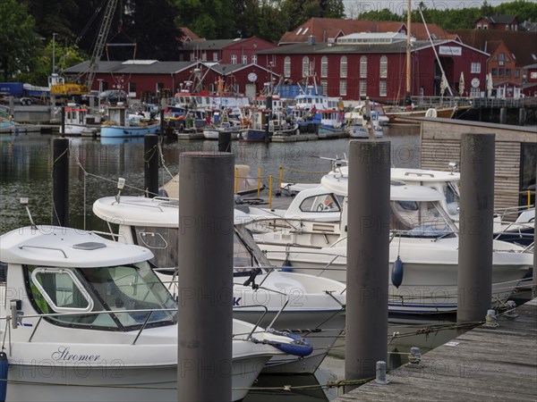 Some boats are moored at a wooden jetty in a harbour, red buildings in the background, Eckernförde,