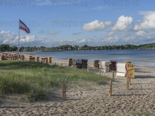 Beach with a row of beach chairs, a hedge, blue sky and clouds in the background, Eckernförde,
