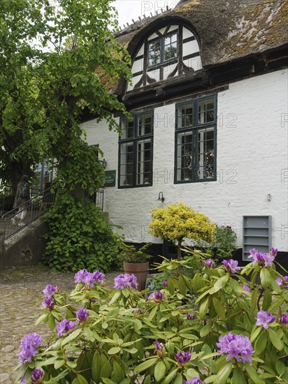 Historic building with white walls and blooming flowers, surrounded by green plants, Arnis,