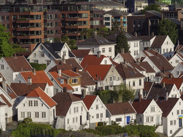Densely packed houses with red roofs form a picturesque neighbourhood, Stavanger, Norway, Europe