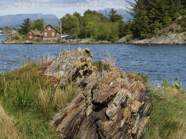 Coastal landscape with houses in the background, surrounded by water, trees and rocks, Stavanger,