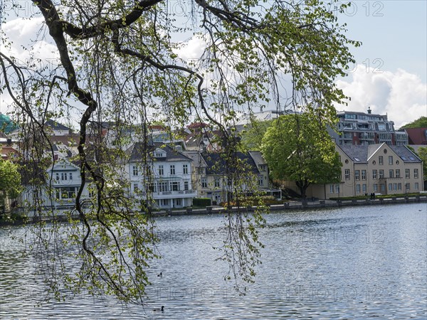 Picturesque seascape with traditional houses, trees and a calm lake under a cloudy sky, Stavanger,