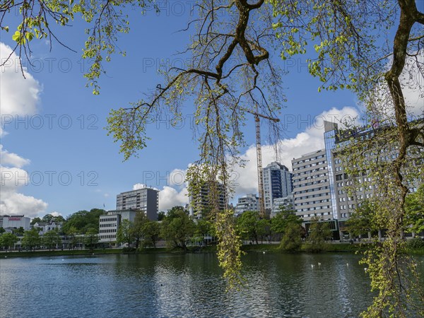 Urban building backdrop by a lake, surrounded by trees and blue sky with clouds, Stavanger, Norway,