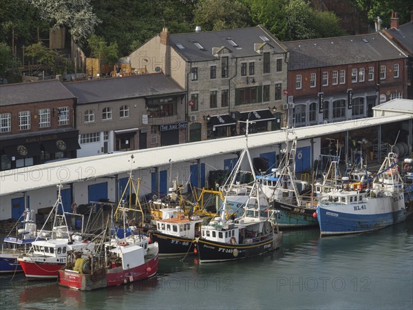 A busy harbour with fishing boats moored in front of several buildings on the shore, Newcastle,