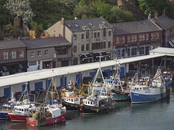 A harbour with numerous fishing boats and adjacent buildings, Newcastle, England, Great Britain